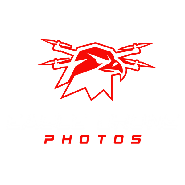Eagle Drone Photography